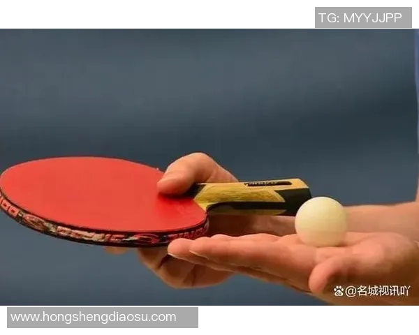 杭州排球队速度之美大满贯点评展现竞技魅力与团队协作