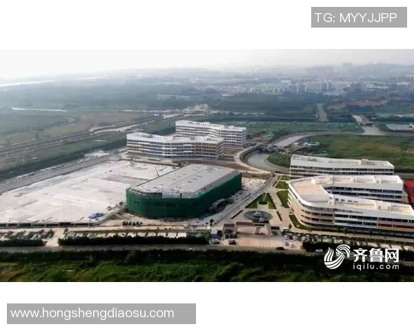 西安排球队运营革新探索：从管理模式到市场策略的全面升级