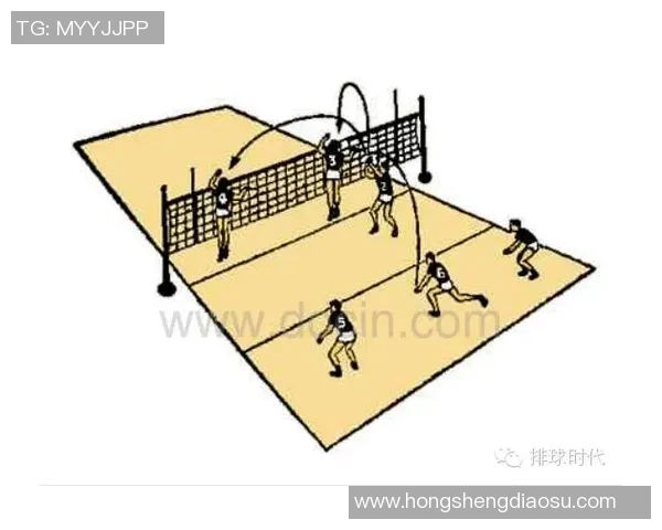 南京排球队的控制打法深度分析与战术解读